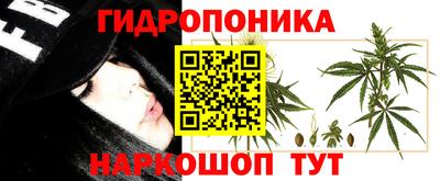 тгк Ипатово