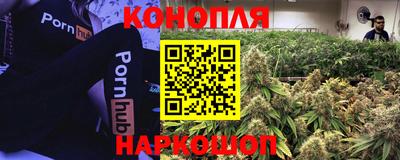 ПСИЛОЦИБИНОВЫЕ ГРИБЫ Ирбит