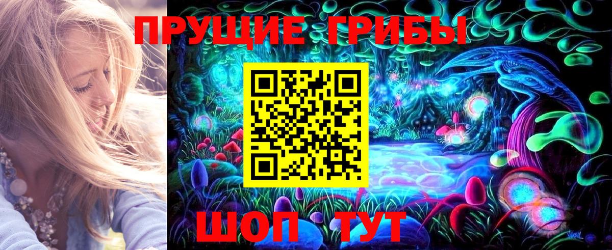 Красный Сулин  Галлюциногенные грибы прущие грибы  Вход с VPN 