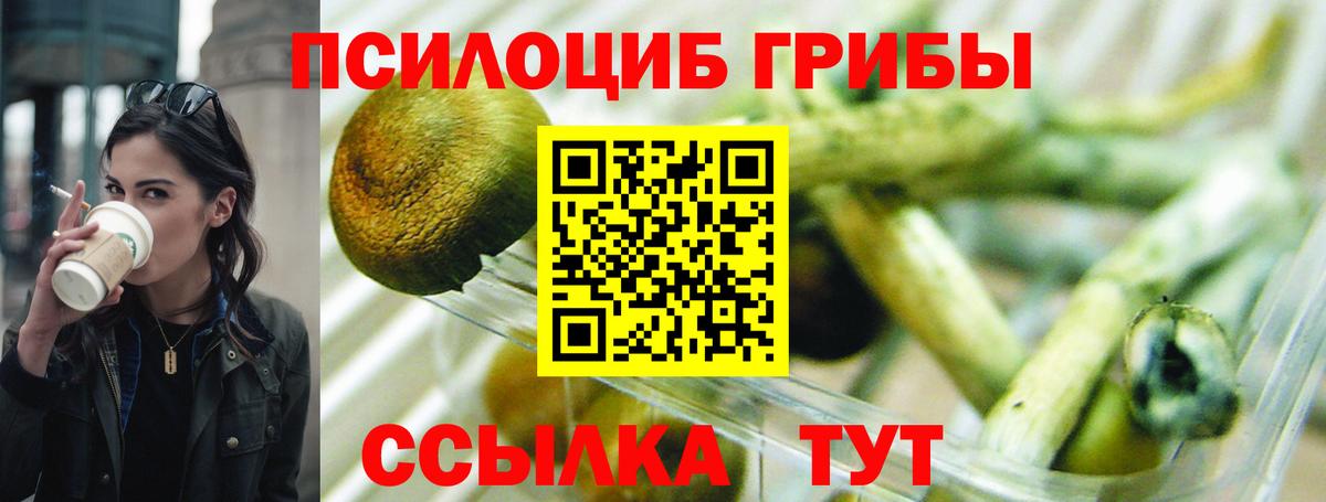 Псилоцибиновые грибы ЛСД Красный Сулин